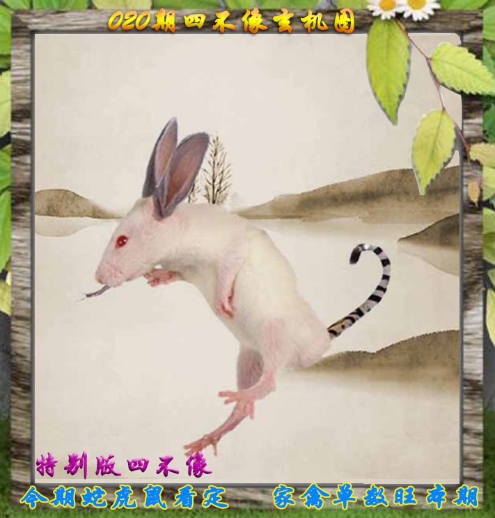 020期四不像特别版[图]