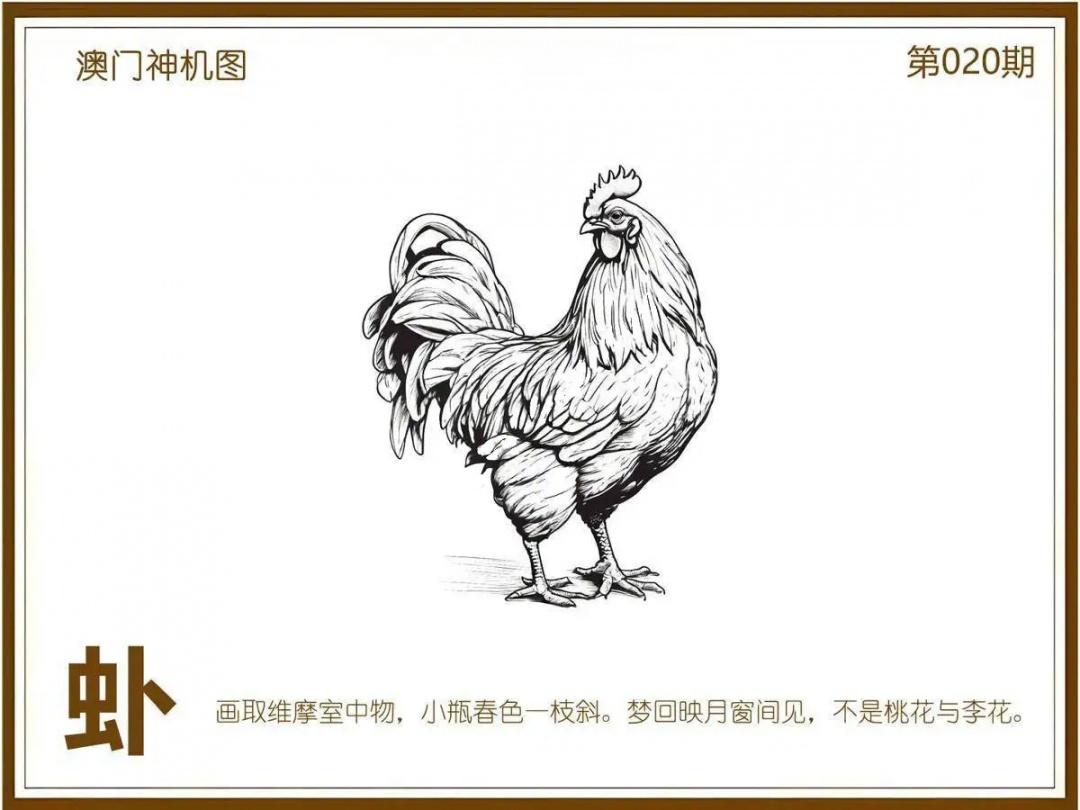 020期澳门神机图[图]